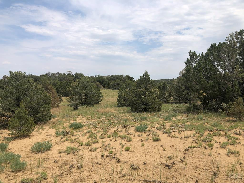 87-119 Twin Lakes Road Walsenburg, CO 81089 - Photo 17 of 21