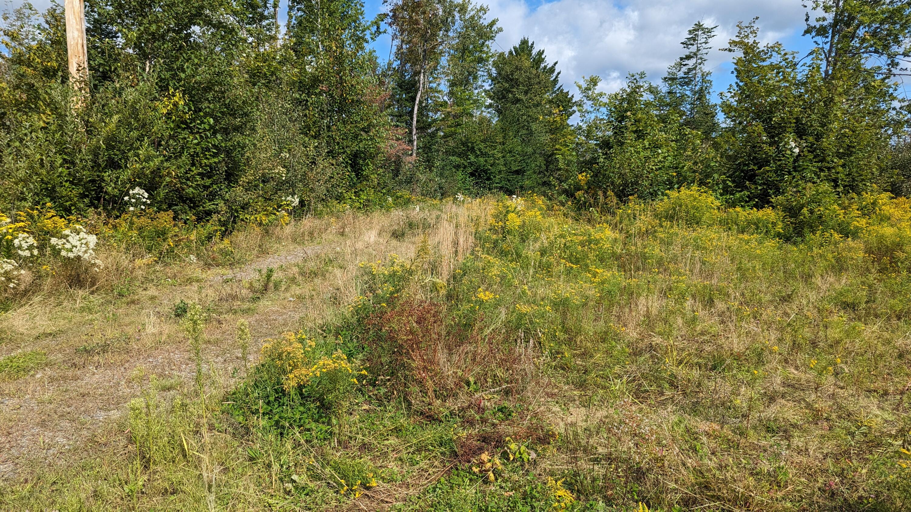 6 Off Hemore Road Houlton, ME 04730 - Photo 12 of 12 PXL_20230831_135745659