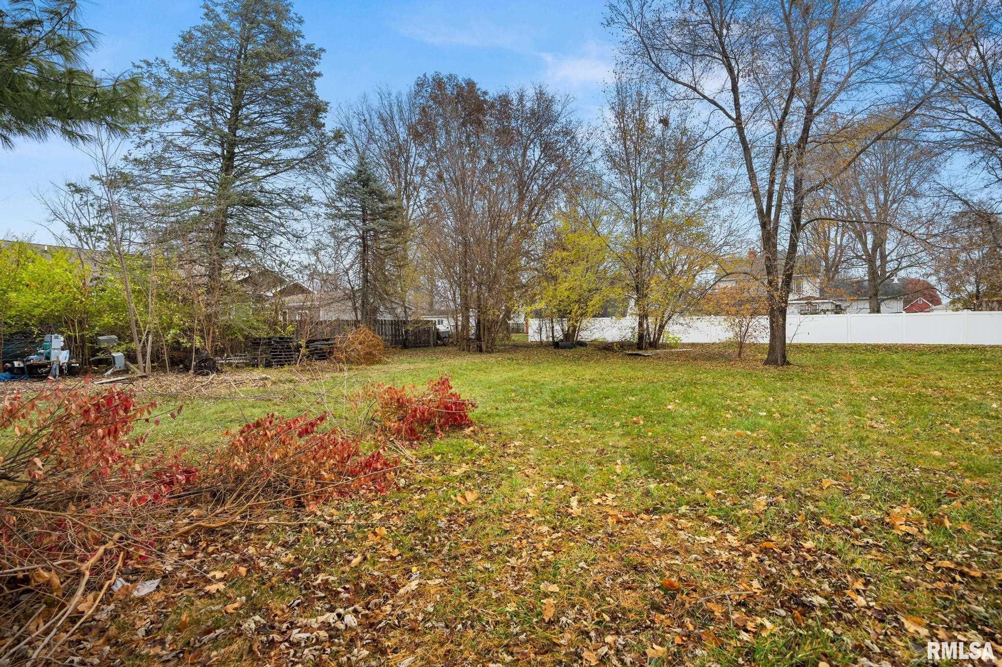 316 North Locust Street Tremont, IL 61568 - Photo 5 of 21