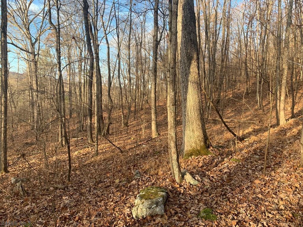 Lot I Clear Ridge Road Clearville, PA 15535 - Photo 14 of 24