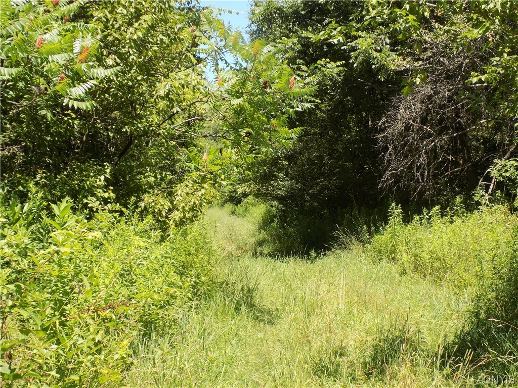 7760 Ny Route 79 Road Whitney Point, NY 13862 - Photo 12 of 23