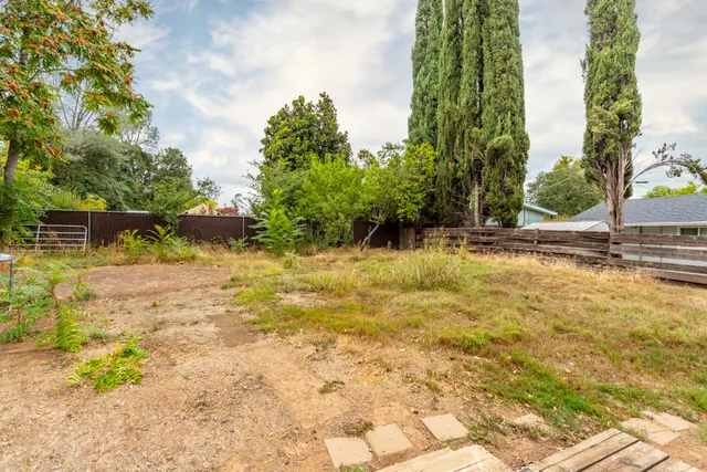 a view of a yard with plants and trees