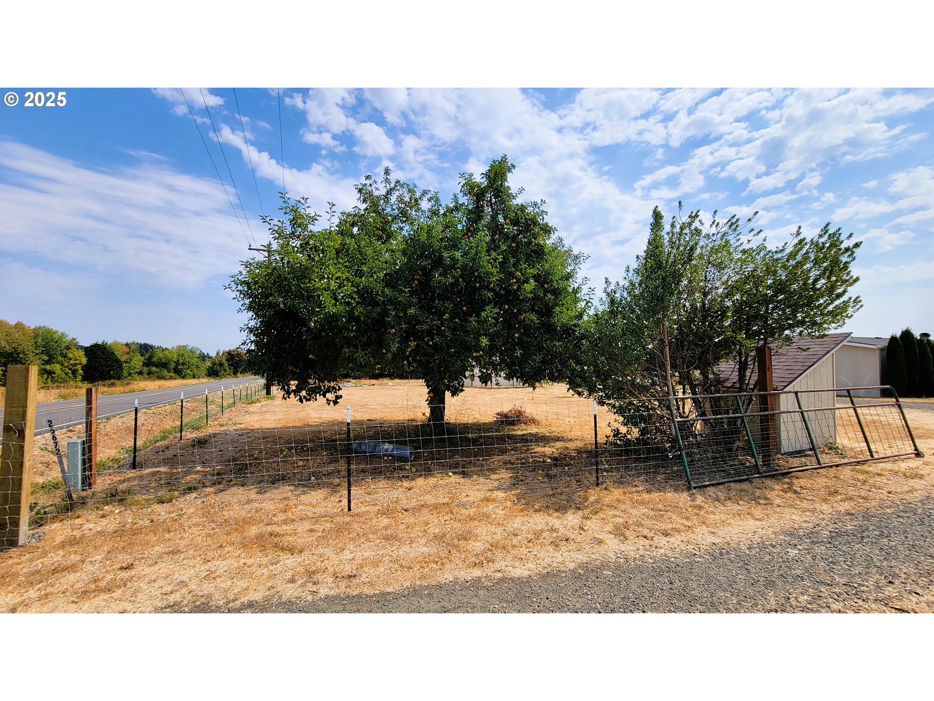 26672 Ferguson Road Junction City, OR 97448 - Photo 17 of 26 Gallery Image 17