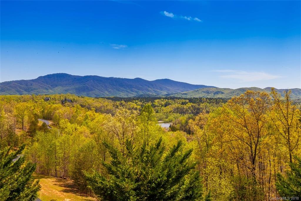 705 Pkwy N Road, Unit 41/G Mill Spring, NC 28756 - Photo 2 of 35