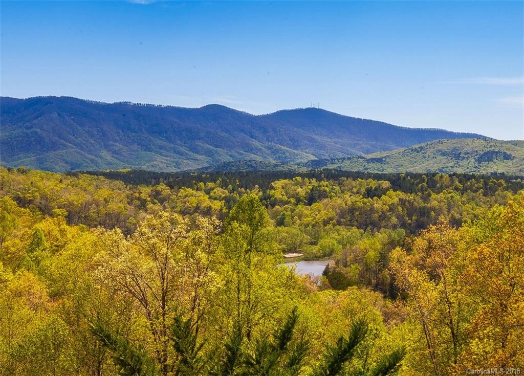 705 Pkwy N Road, Unit 41/G Mill Spring, NC 28756 - Photo 3 of 35