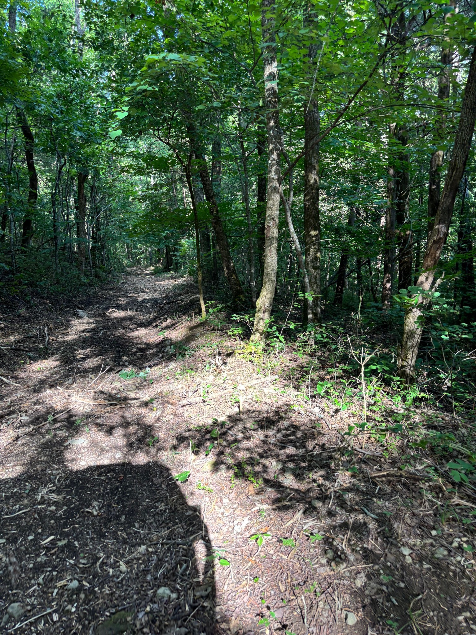 2517 Patton Hollow Road Watertown, TN 37184 - Photo 22 of 29