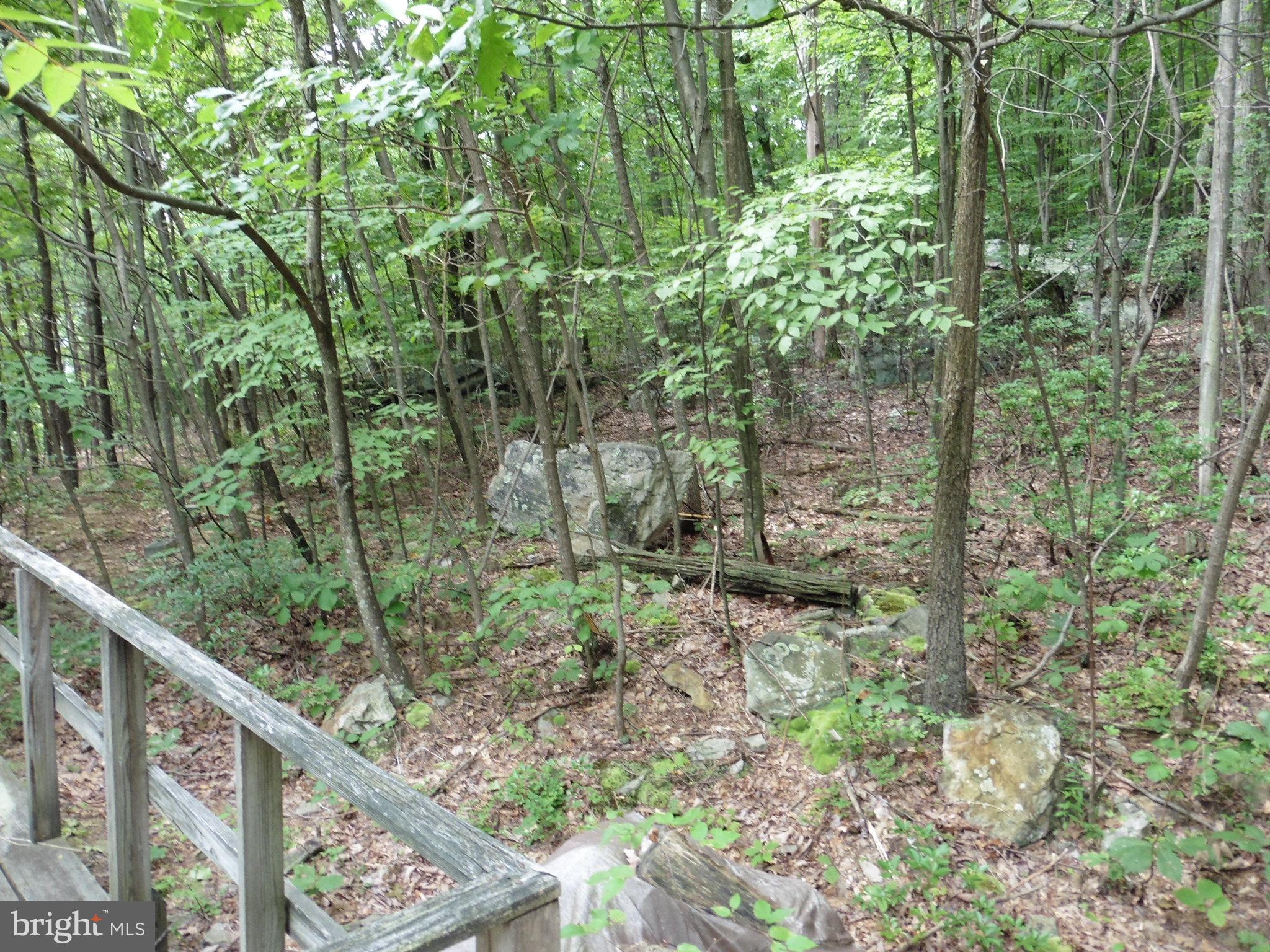 0 Short Mountain Road Big Pool, MD 21711 - Photo 19 of 23 Secluded Lot - No neighbors in sight.