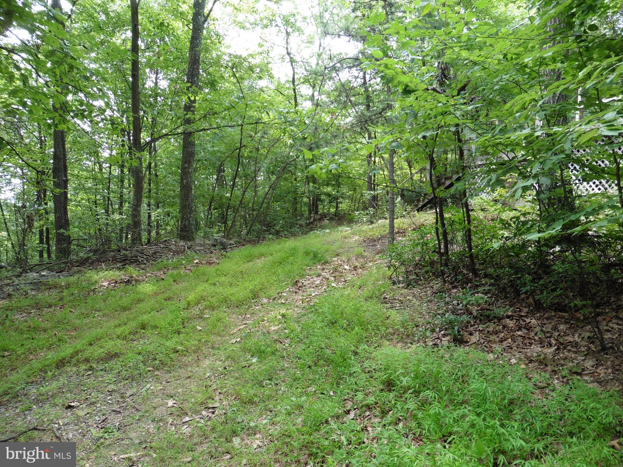0 Short Mountain Road Big Pool, MD 21711 - Photo 20 of 23 Driveway