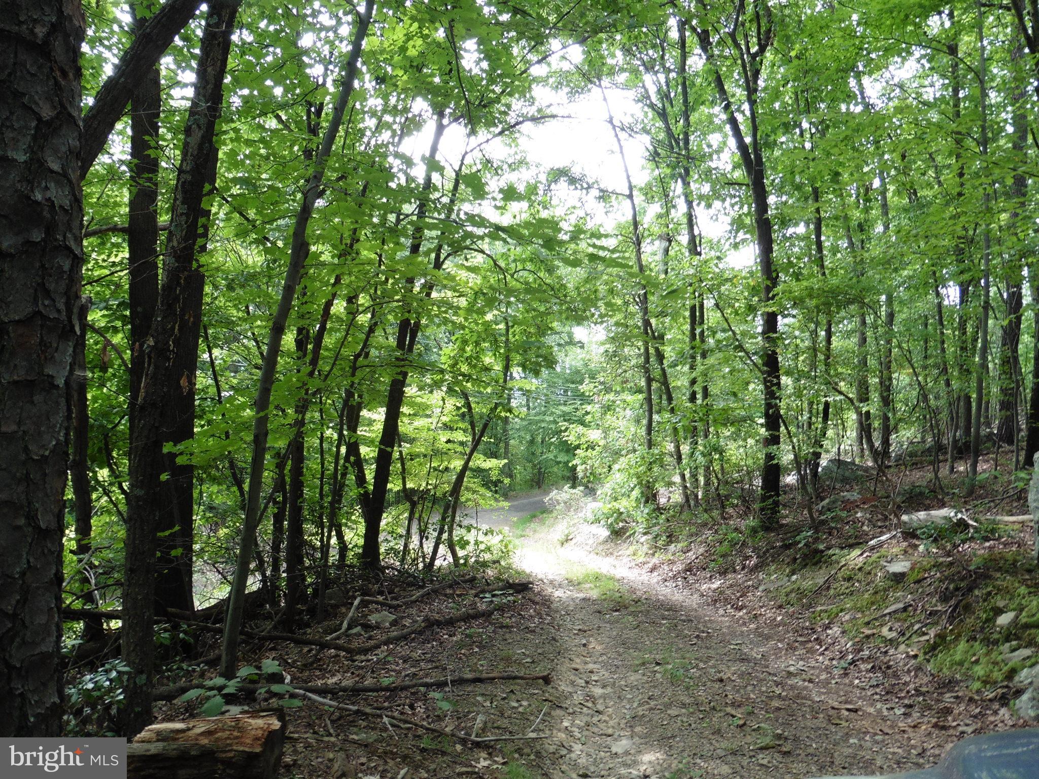 0 Short Mountain Road Big Pool, MD 21711 - Photo 21 of 23 Privacy