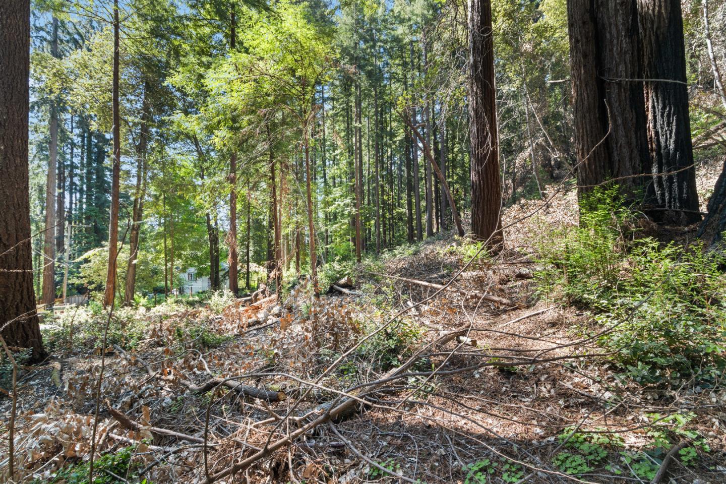 14 Brimblecom Road Boulder Creek, CA 95006 - Photo 8 of 12 Gallery Image 8
