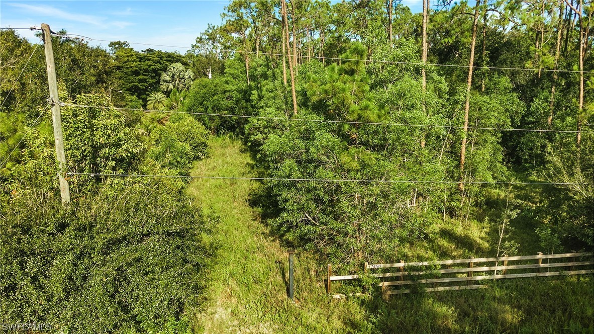 12400 Blasingim Road Fort Myers, FL 33966 - Photo 3 of 17 a view of a yard
