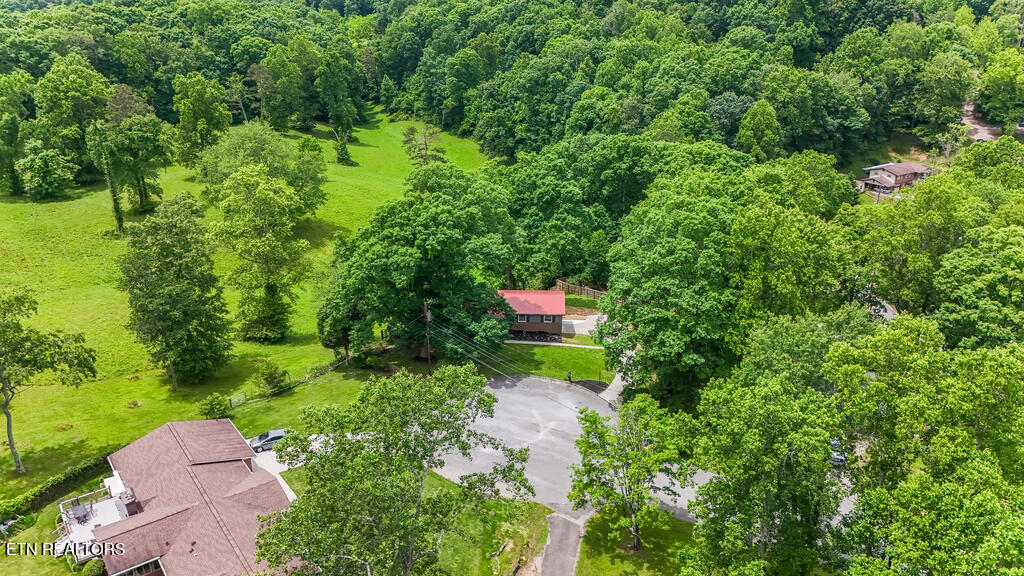 110 Courtland Lane Clinton, TN 37716 - Photo 6 of 33 DJI_20250524135027_0073_D_GREEN