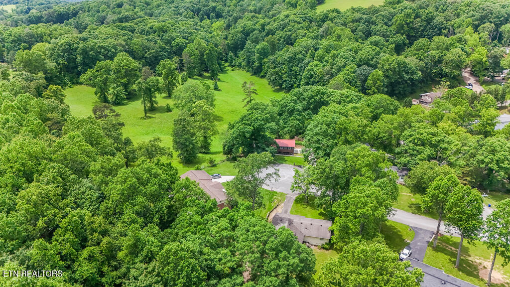 110 Courtland Lane Clinton, TN 37716 - Photo 7 of 33 DJI_20250524135040_0074_D_GREEN