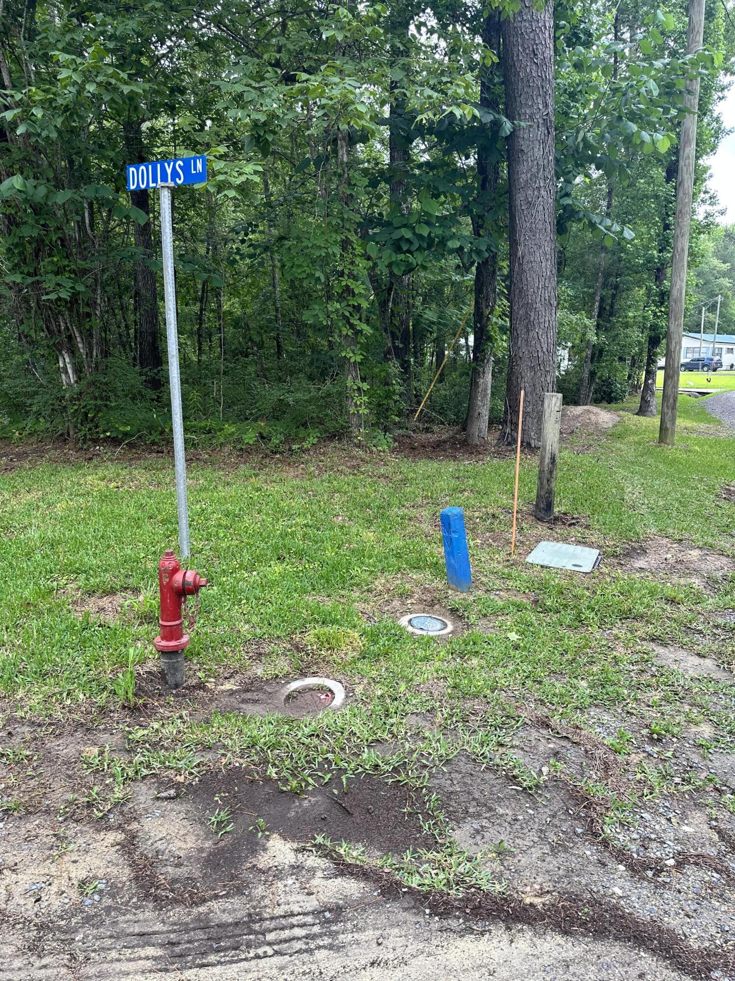 0 Popa Road Jamestown, SC 29453 - Photo 4 of 19 Water & Fiber on Site