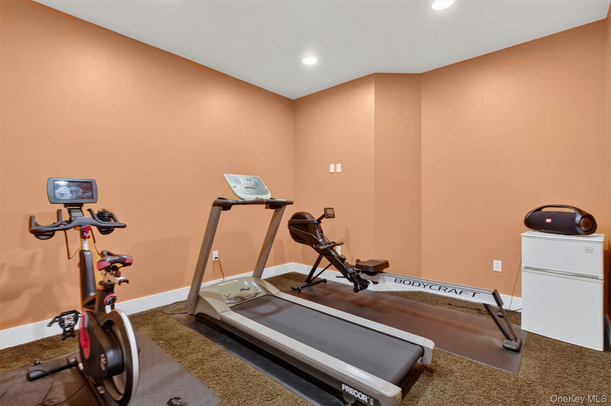 219 Country Club Road Hopewell Junction, NY 12533 - Photo 43 of 49 a room with gym equipment