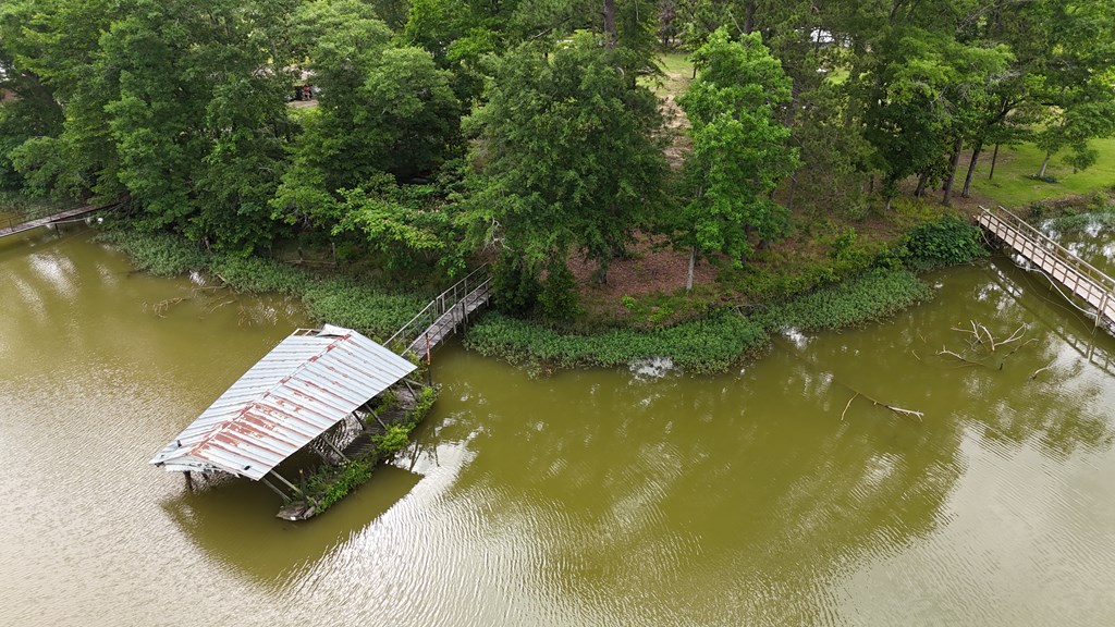 0 Hudspeth Drive Abbeville, AL 36310 - Photo 8 of 15