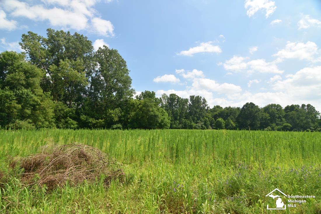 13493 Dixon Road Dundee, MI 48131 - Photo 9 of 48