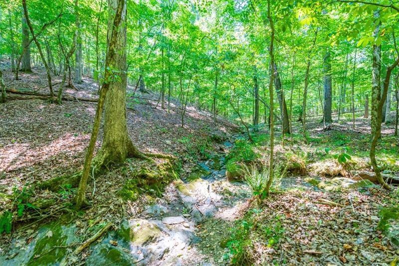 0 Overlook Trail Dallas, GA 30132 - Photo 3 of 15