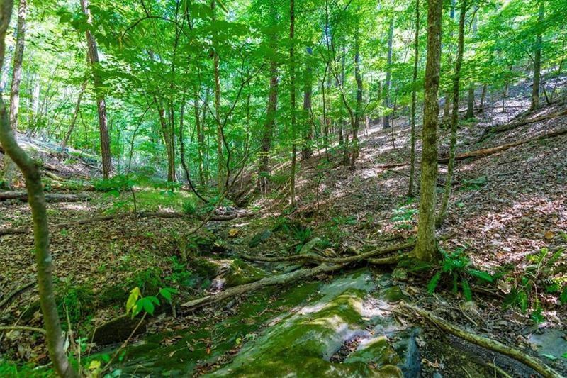 0 Overlook Trail Dallas, GA 30132 - Photo 4 of 15