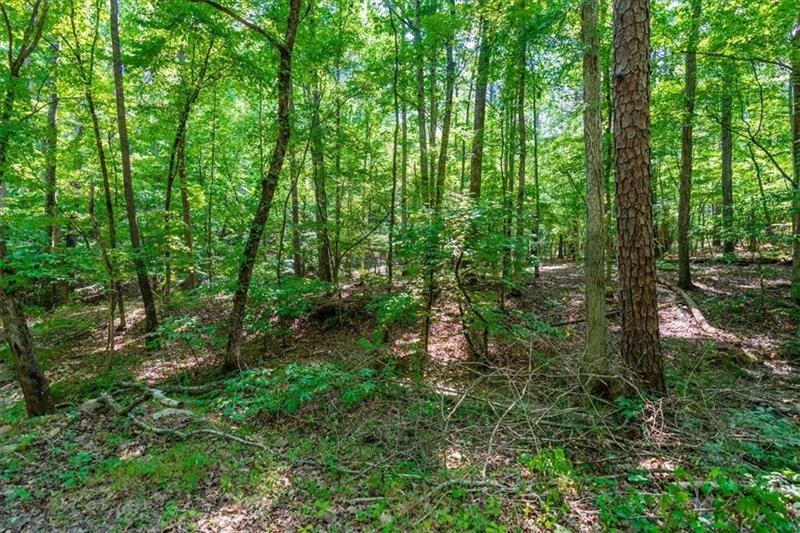 0 Overlook Trail Dallas, GA 30132 - Photo 6 of 15