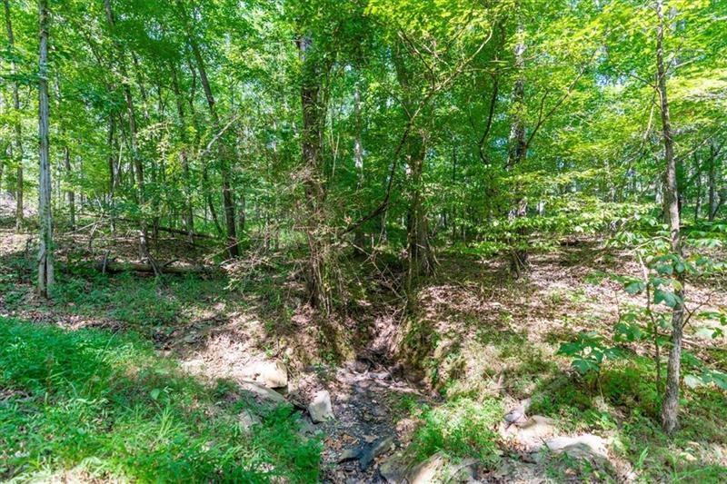 0 Overlook Trail Dallas, GA 30132 - Photo 10 of 15