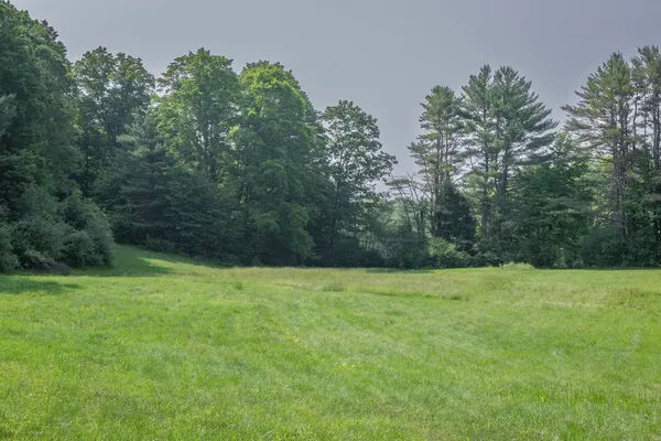 $229,000 | 0 Old Walpole Road, Unit 61, Keene, NH 03431