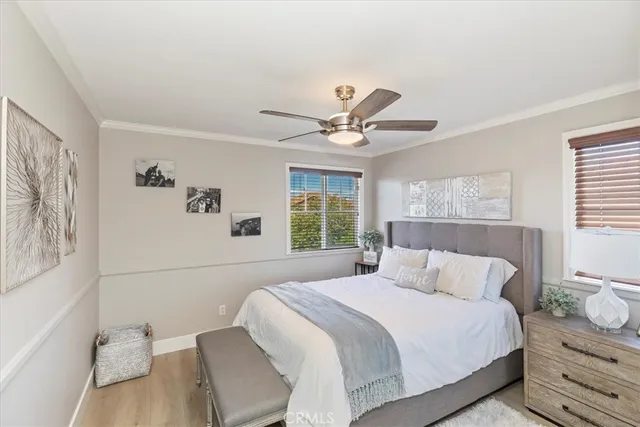 a view of a patio with table and chairs potted plants and palm tree