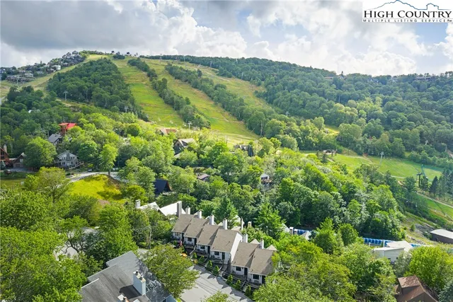 a view of a bunch of trees and houses