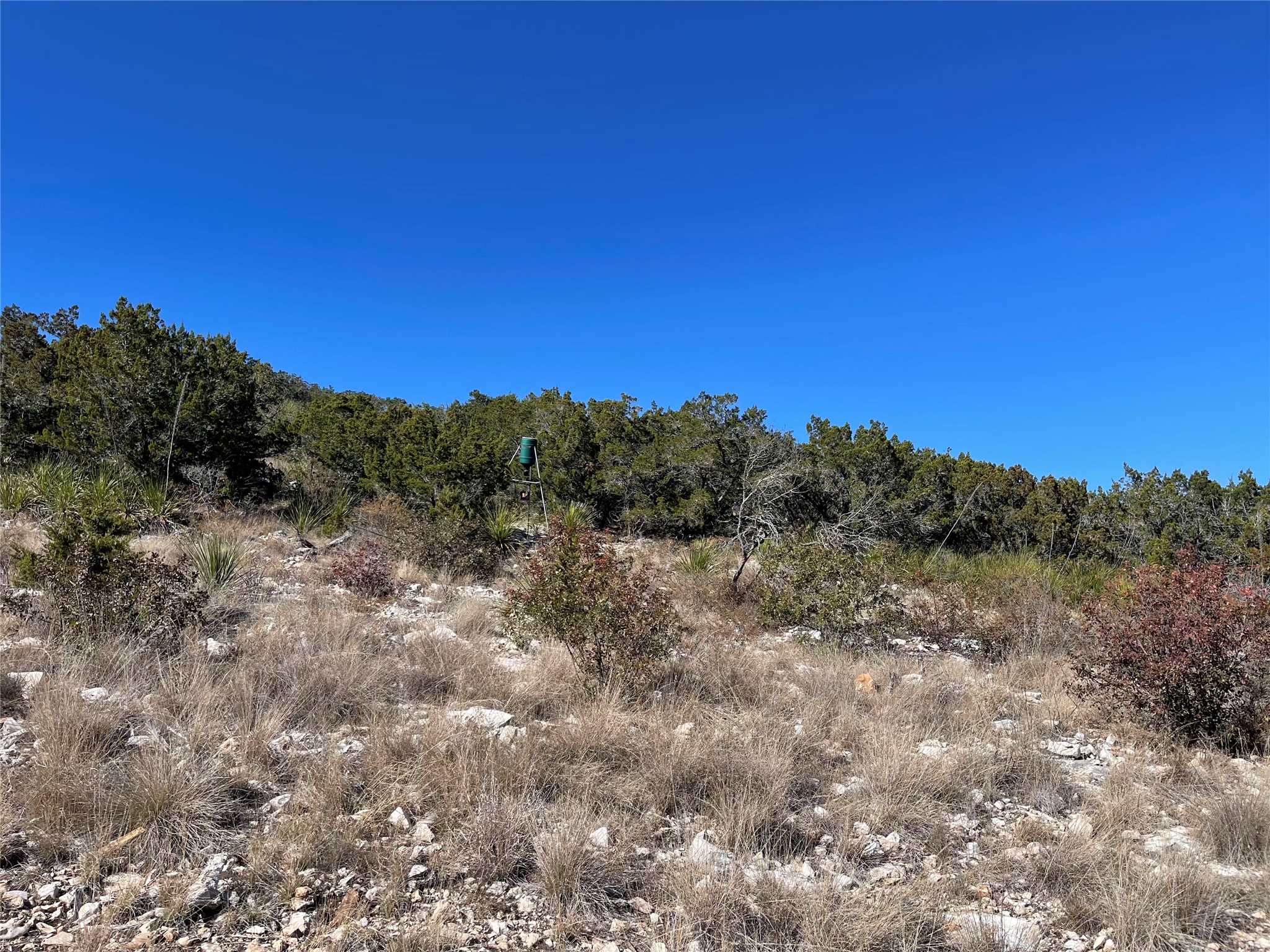 305 Walnut Springs Ranch Road Uvalde, TX 78801 - Photo 2 of 21 a view of a dry space with a mountain in the background