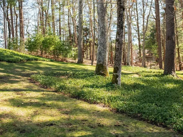 a view of a house with a garden