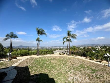 2410 Pointer Drive Walnut, CA 91789 - Photo 34 of 35 a view of a garden with a table and chairs