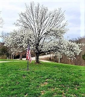 10150 Georgetown Road Owenton, KY 40359 - Photo 19 of 25 Photo 19