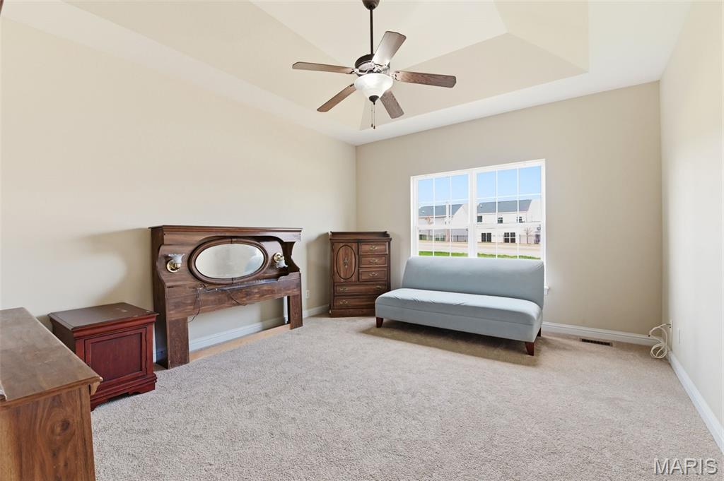 111 Long And Winding Road St. Peters, MO 63376 - Photo 19 of 26