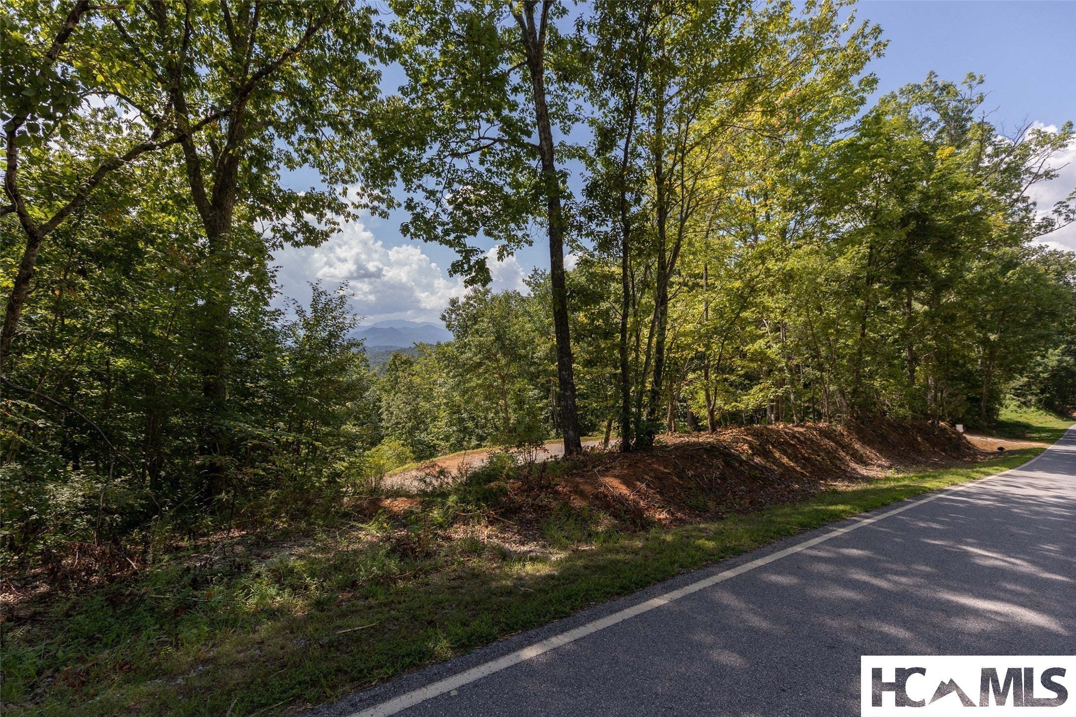 Tbd Onion Mountain Road Franklin, NC 28734 - Photo 6 of 24 Gallery Image 6