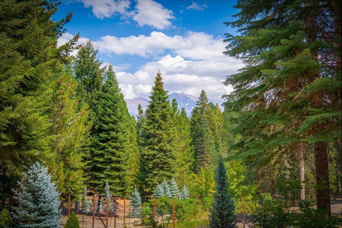 2331 Davis Place Road Mount Shasta, CA 96067 - Photo 31 of 41 Gallery Image 31