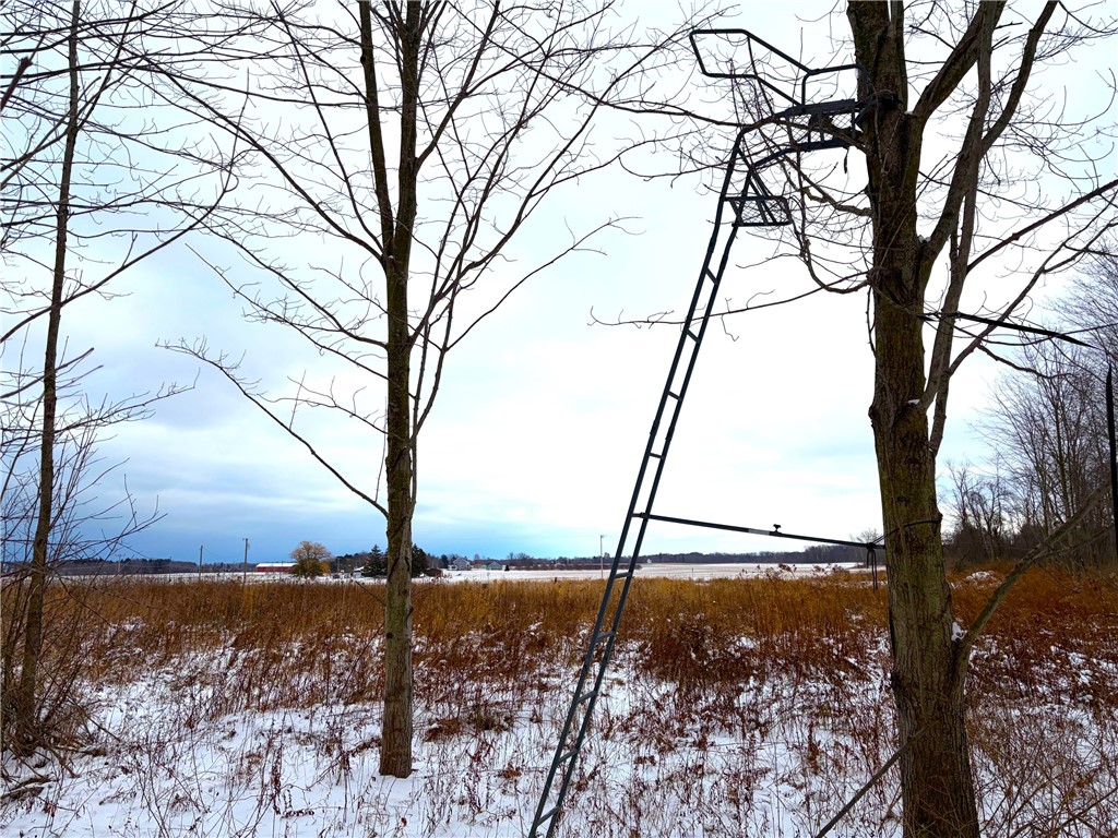 0 Johnson Creek Road Barker, NY 14012 - Photo 16 of 37