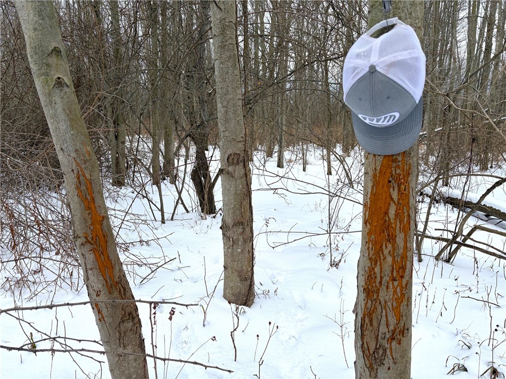 0 Johnson Creek Road Barker, NY 14012 - Photo 18 of 37