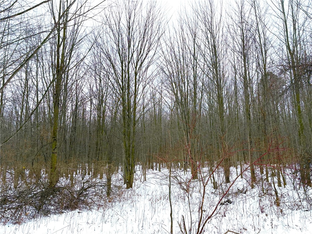 0 Johnson Creek Road Barker, NY 14012 - Photo 19 of 37