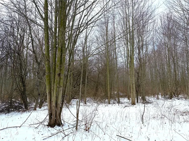 $299,900 | 0 Johnson Creek Road, Barker, NY 14012