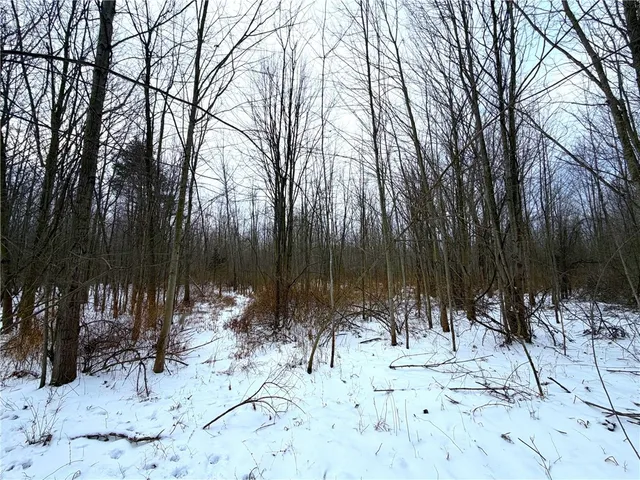 $299,900 | 0 Johnson Creek Road, Barker, NY 14012