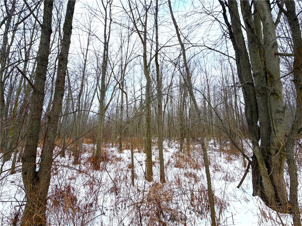 0 Johnson Creek Road Barker, NY 14012 - Photo 22 of 37