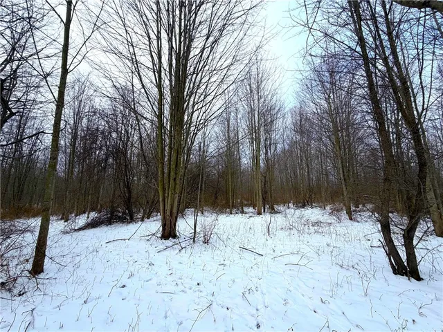 $299,900 | 0 Johnson Creek Road, Barker, NY 14012