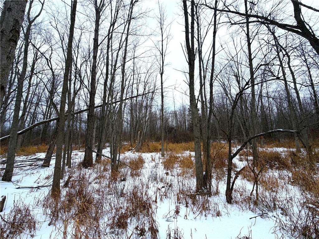 0 Johnson Creek Road Barker, NY 14012 - Photo 25 of 37