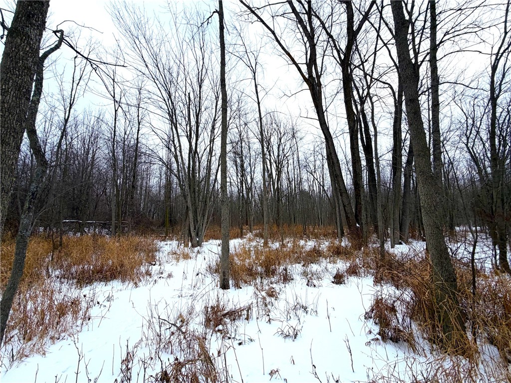 0 Johnson Creek Road Barker, NY 14012 - Photo 26 of 37