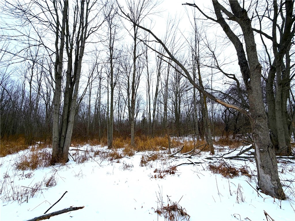 0 Johnson Creek Road Barker, NY 14012 - Photo 27 of 37