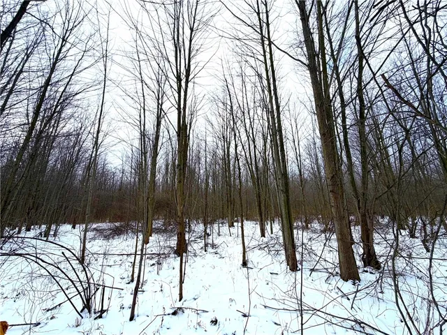 $299,900 | 0 Johnson Creek Road, Barker, NY 14012