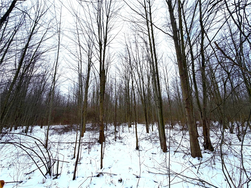 0 Johnson Creek Road Barker, NY 14012 - Photo 28 of 37