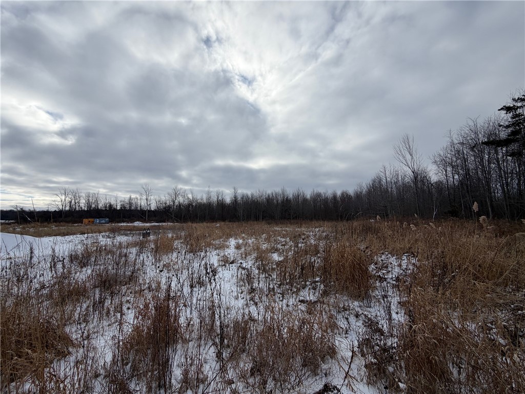 0 Johnson Creek Road Barker, NY 14012 - Photo 29 of 37