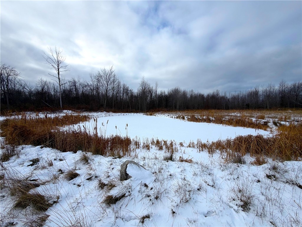 0 Johnson Creek Road Barker, NY 14012 - Photo 10 of 37
