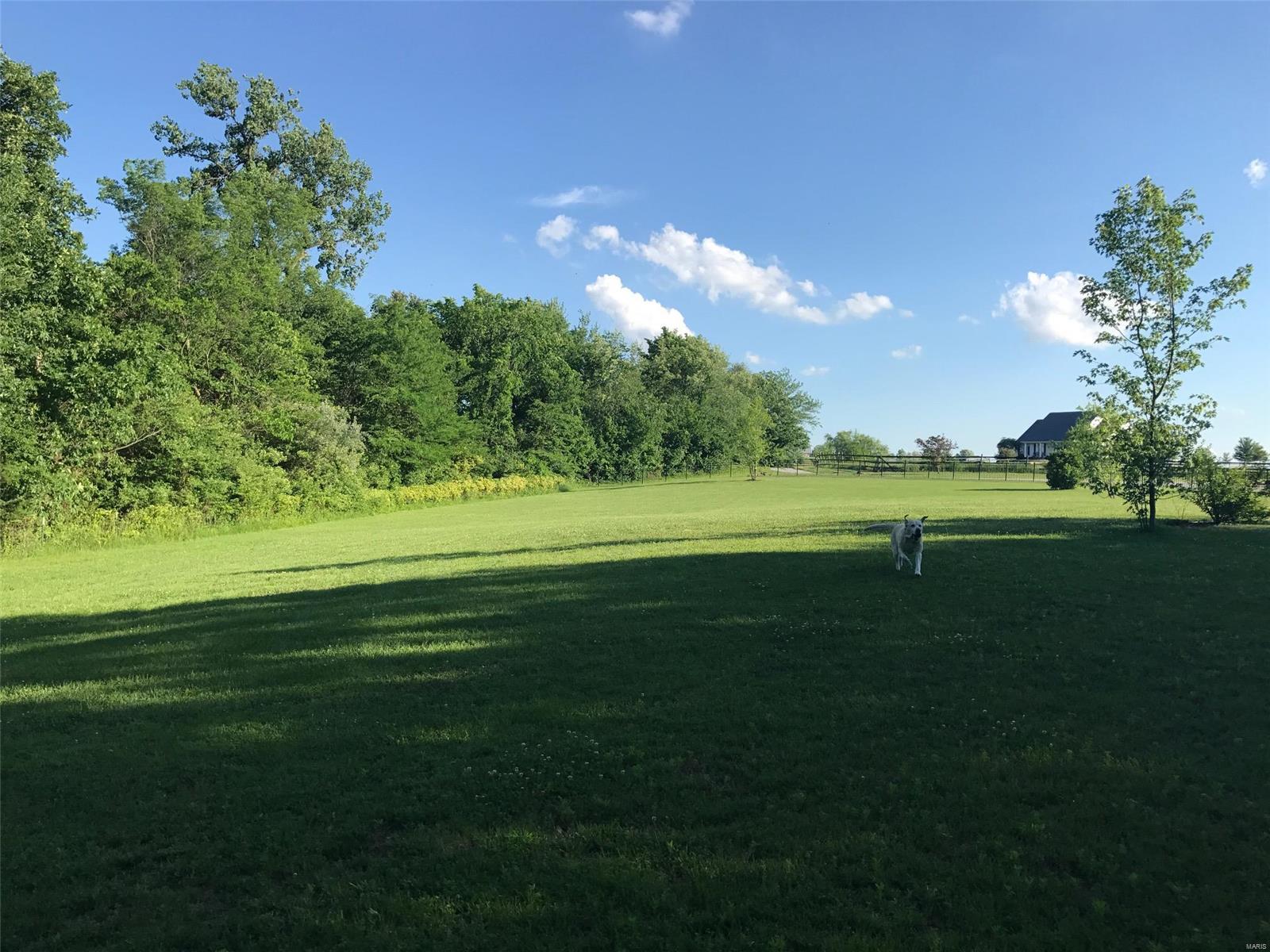 5935 Crowe Farm Road Waterloo, IL 62298 - Photo 4 of 50